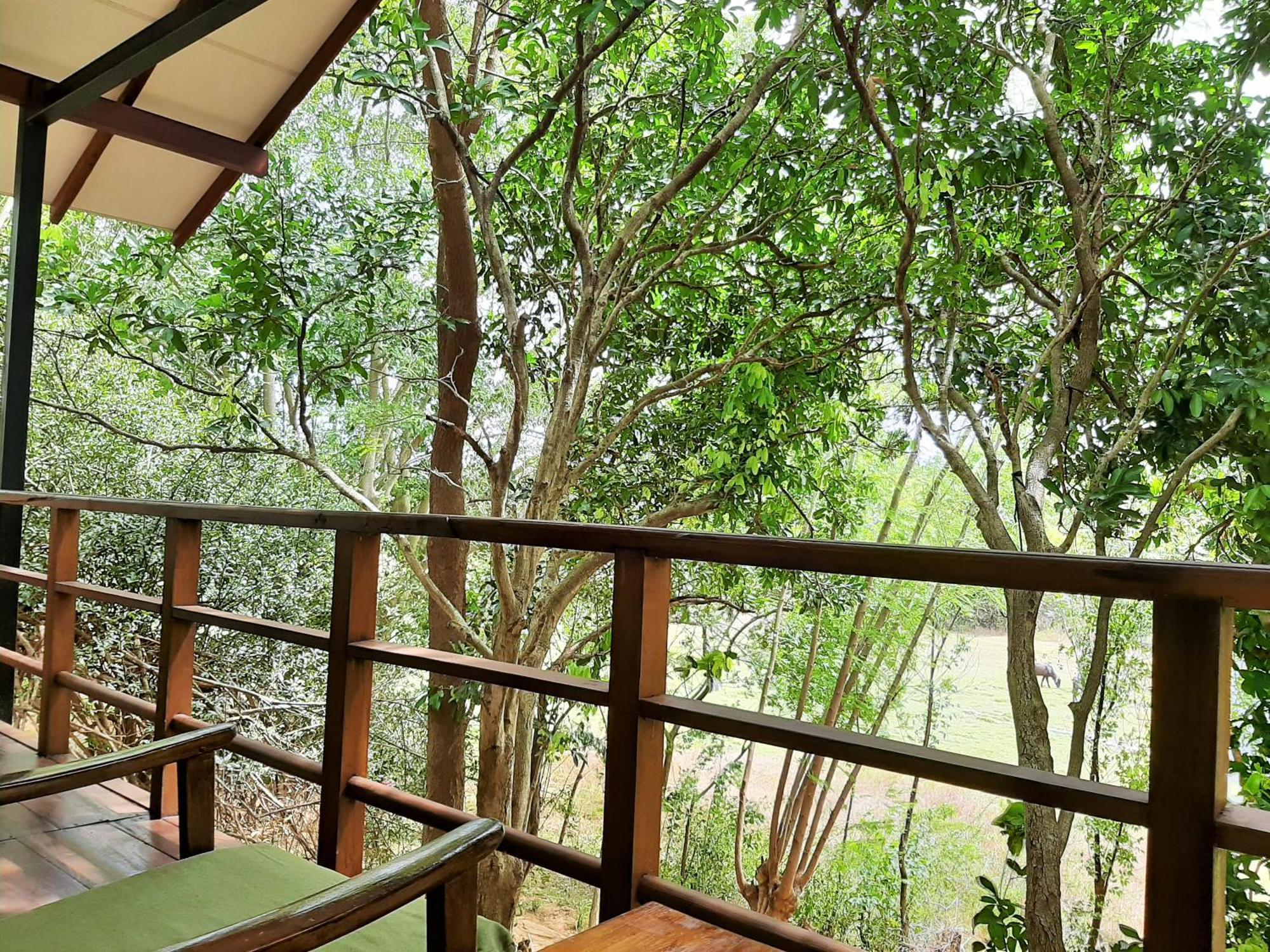 Elephant Lodge 우다왈라웨 외부 사진