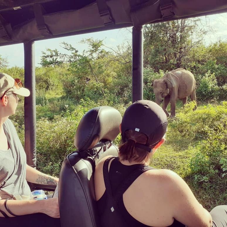 Elephant Lodge 우다왈라웨 외부 사진